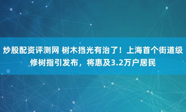 炒股配资评测网 树木挡光有治了！上海首个街道级修树指引发布，将惠及3.2万户居民