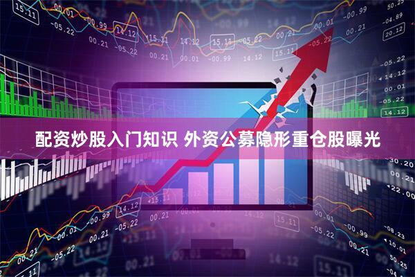 配资炒股入门知识 外资公募隐形重仓股曝光