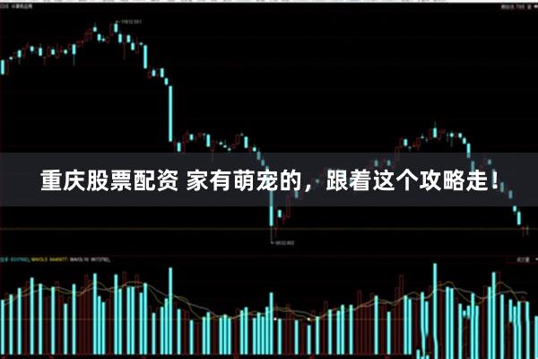 重庆股票配资 家有萌宠的，跟着这个攻略走！