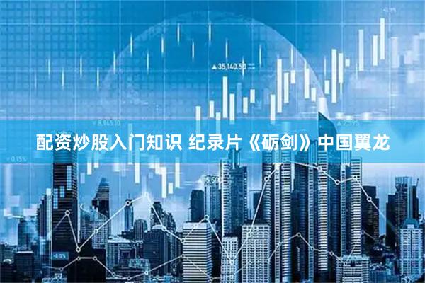 配资炒股入门知识 纪录片《砺剑》中国翼龙