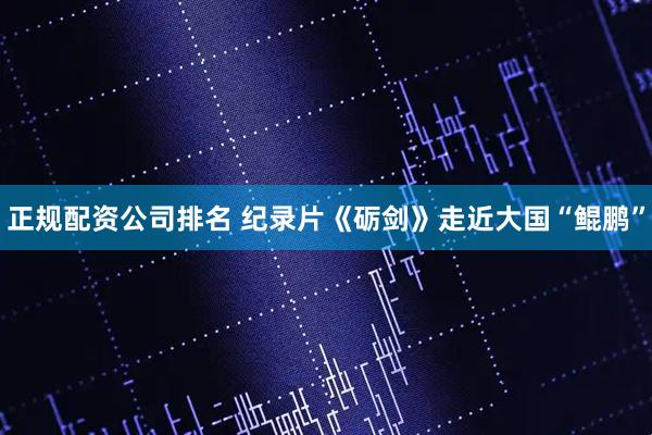 正规配资公司排名 纪录片《砺剑》走近大国“鲲鹏”